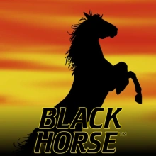 Black Horse