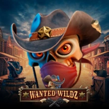 Wanted Wildz