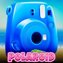 Polaroid