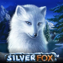 Silver Fox