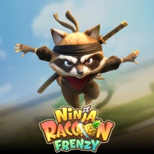 Ninja Raccoon Frenzy