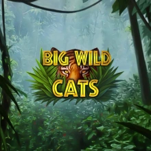 Big Wild Cats
