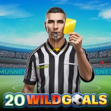 20 Wild Goals
